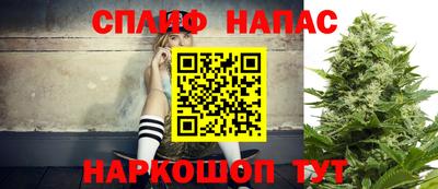 a pvp Будённовск