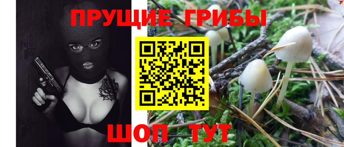 Псилоцибиновые грибы ЛСД  купить наркотик  Элиста  Вход с VPN 